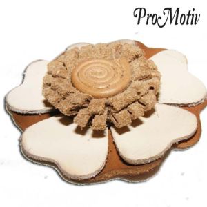 Kozni broš